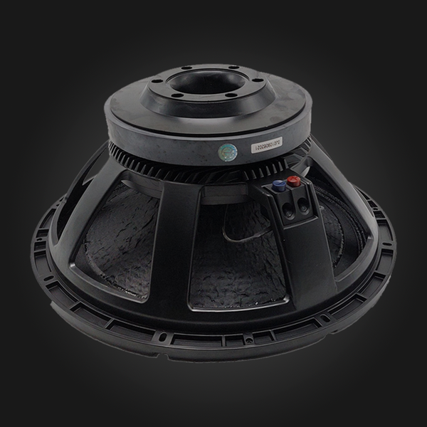 DjPro 18DJ451 - parlante 18 pulgadas 1800W RMS 8 ohms, vista frontal del cono